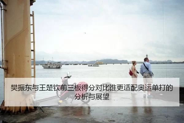 樊振东与王楚钦前三板得分对比谁更适配奥运单打的分析与展望