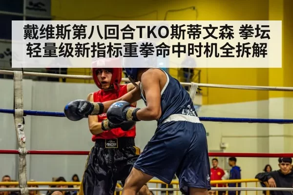 戴维斯第八回合TKO斯蒂文森 拳坛轻量级新指标重拳命中时机全拆解