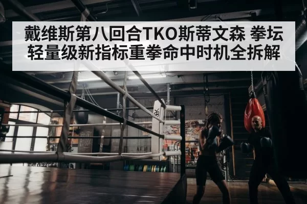 boxer training